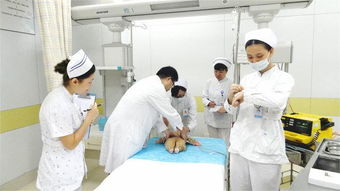 護(hù)士三基三嚴(yán)預(yù)防醫(yī)學(xué)基礎(chǔ)知識