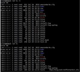計(jì)算機(jī)基礎(chǔ)知識指令