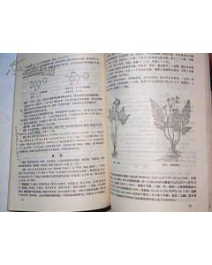 藥用植物學(xué)科的基礎(chǔ)知識(shí)