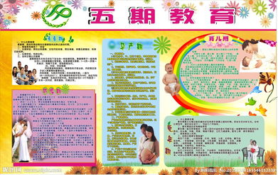 計(jì)劃生育基礎(chǔ)知識教育教案,計(jì)劃生育基礎(chǔ)知識試題,計(jì)劃生育基礎(chǔ)知識培訓(xùn)內(nèi)容