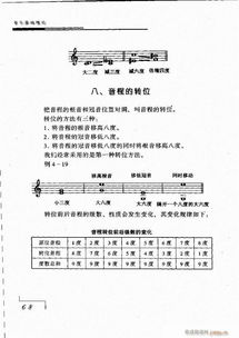 知識點,幼兒,理論,基礎(chǔ)