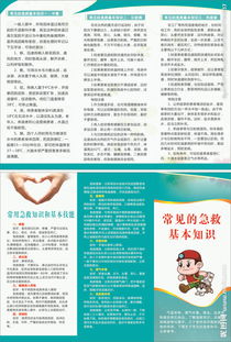 急診外科的基礎(chǔ)知識(shí)