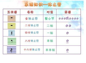 鋼琴樂理基礎(chǔ)知識匯總