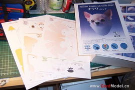 紙模型基礎知識