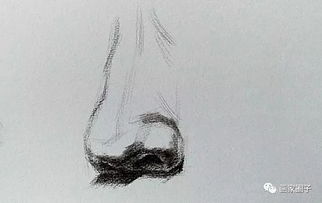 素描的基礎(chǔ)知識(shí)大全集