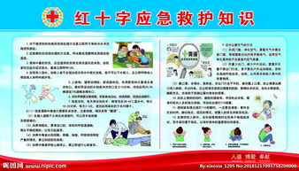 應(yīng)急基礎(chǔ)救護(hù)知識(shí)