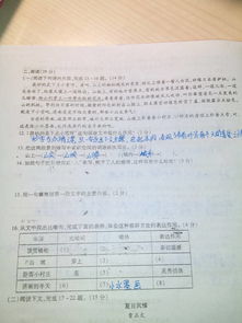 初一語文試卷基礎知識總結