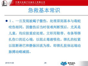 常規(guī)急救基礎(chǔ)知識,急救基礎(chǔ)知識考試試題,中學(xué)生急救基礎(chǔ)知識