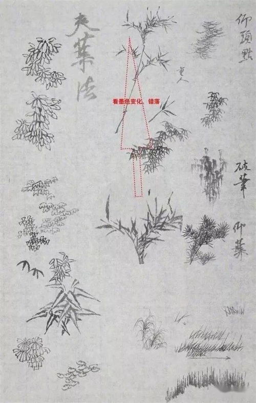 國畫基礎(chǔ)教學(xué)知識(shí)