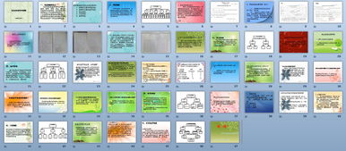 1社會保險(xiǎn)基礎(chǔ)知識