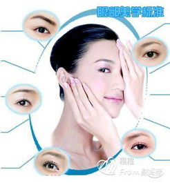 眼部美容基礎(chǔ)知識(shí)