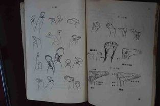 基礎(chǔ)的繪畫知識