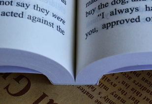 初三英語語法基礎(chǔ)知識大全,初三電路基礎(chǔ)知識,初三電學(xué)基礎(chǔ)知識大全