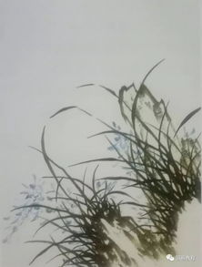 中國畫基礎(chǔ)知識蘭花