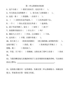 二級(jí)下學(xué)期基礎(chǔ)知識(shí)