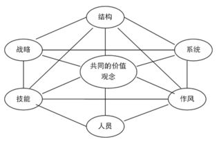 市場營銷的基礎(chǔ)理論知識