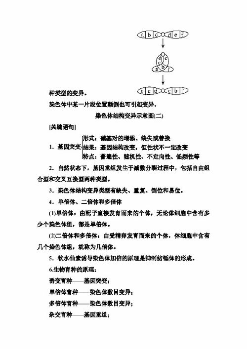 關于基礎知識的重要性的語句,學好基礎知識的重要性,基礎知識扎實的重要性