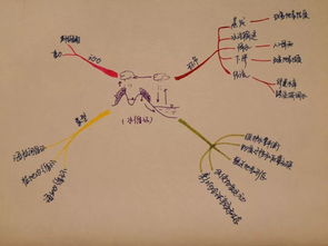 夯實,基礎(chǔ)知識,注重,基礎(chǔ)