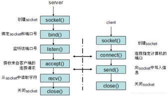 網(wǎng)絡(luò)基礎(chǔ)知識(shí)分類