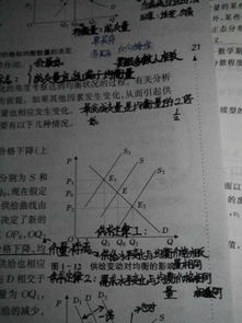 基礎(chǔ)知識(shí),經(jīng)濟(jì)學(xué),宏微觀