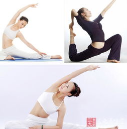 英語(yǔ)基礎(chǔ)知識(shí)教學(xué),炒股基礎(chǔ)知識(shí)入門教學(xué),簡(jiǎn)譜入門基礎(chǔ)知識(shí)教學(xué)