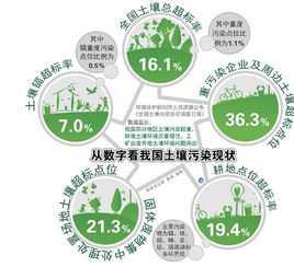 環(huán)?；A(chǔ)理論知識(shí)