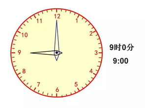 二級基礎(chǔ)知識薈萃