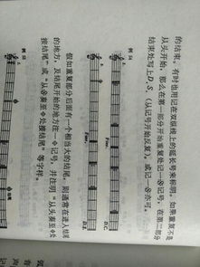 小學(xué)樂理基礎(chǔ)知識(shí)記號(hào)