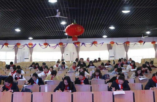 百度少先隊(duì)基礎(chǔ)專業(yè)知識