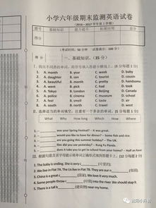 保險知識基礎知識及答案