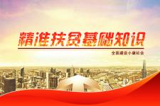 扶貧基礎業(yè)務知識