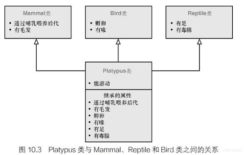 c繼承的基礎(chǔ)知識(shí)