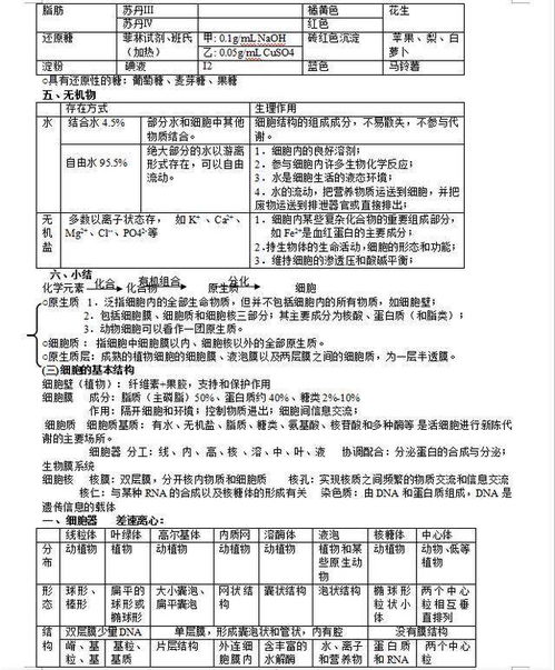 幼兒基礎(chǔ)知識點(diǎn)梳理