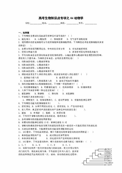 大一動(dòng)物學(xué)基礎(chǔ)知識(shí)點(diǎn)