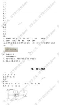 三級數(shù)學(xué)學(xué)生知識基礎(chǔ)現(xiàn)狀分析