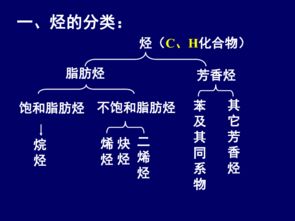 有機化學(xué),高二,上海,基礎(chǔ)知識