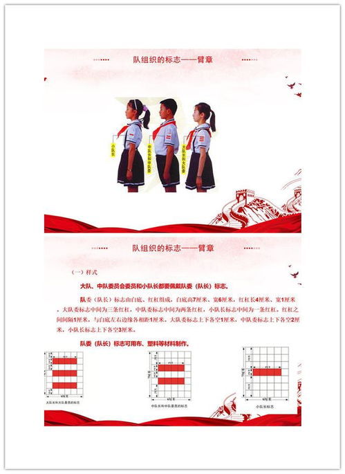 小學(xué)少先隊員基礎(chǔ)知識