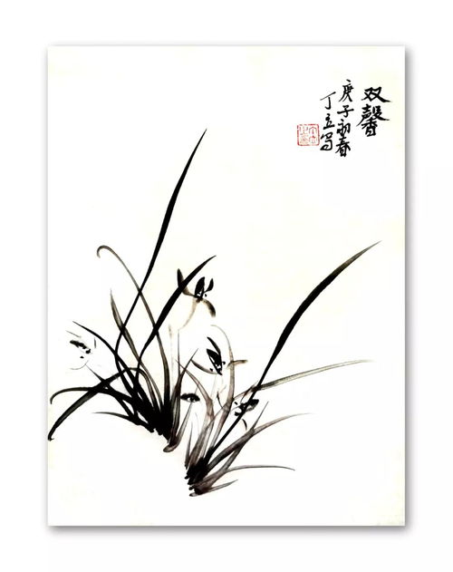中國畫,蘭花,基礎(chǔ)知識