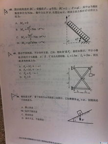 生活環(huán)?;A(chǔ)知識(shí)試題