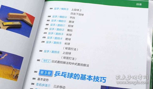 基礎(chǔ)知識,教案,兵兵球