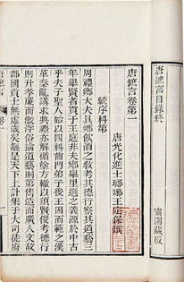 儒林外史有關(guān)基礎(chǔ)知識(shí)