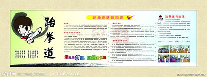 跆拳道,基礎(chǔ)知識(shí),兒童