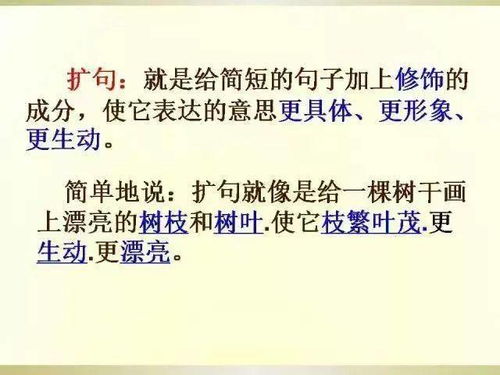 語文基礎(chǔ)及寫作基礎(chǔ)知識