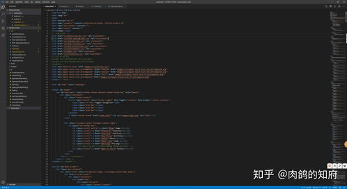基礎(chǔ)知識(shí),自學(xué),入門(mén)