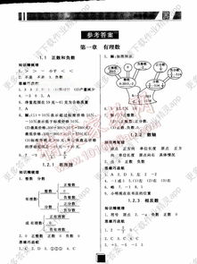 基礎(chǔ)知識(shí),七級(jí),數(shù)學(xué)