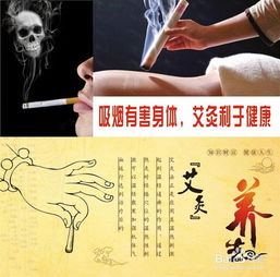 艾灸基礎(chǔ)知識(shí)譜及