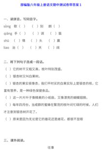 六年級(jí)語(yǔ)文基礎(chǔ)知識(shí)題,六年級(jí)語(yǔ)文基礎(chǔ)知識(shí)歸納,六年級(jí)下冊(cè)語(yǔ)文基礎(chǔ)知識(shí)