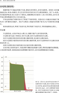 心內電生理基礎知識