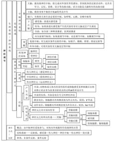 必修,基礎(chǔ)知識,生物