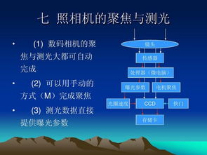 合肥招考基礎(chǔ)知識